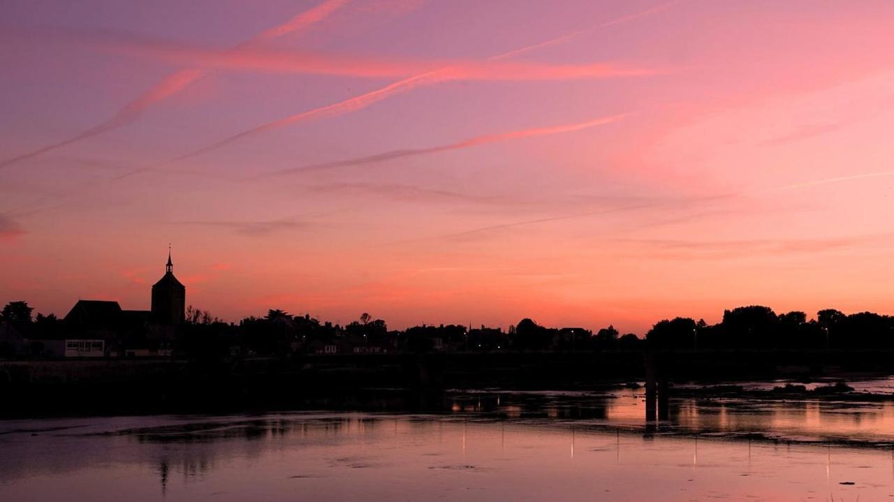 La Vue Loire Appartement Saint-Denis-de lʼHôtel Eksteriør bilde